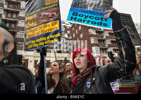 Les protestataires contenir jusqu'boycotter Harrods poster et plaque à l'extérieur du magasin en mars et un rassemblement national Anti-Fur Banque D'Images