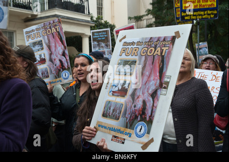 Mars Anti-Fur national avec des affiches et des pancartes dans Belgravia Banque D'Images