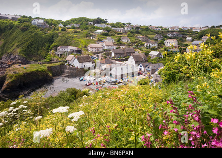 Le minuscule village de pêcheurs cornouaillais de Cadgwith sur le lézard, UK. Banque D'Images