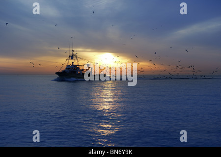 Bateau de pêche professionnelle et mouette tourner port arrière sur le coucher du soleil lever du soleil Banque D'Images