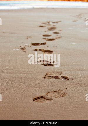 Chaîne d'empreintes sur le sable du littoral de la mer. petit GRIP Banque D'Images