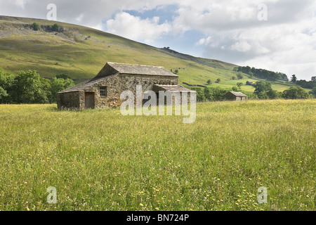 Grange et hay meadow dans la région de Swaledale, Yorkshire, UK Banque D'Images