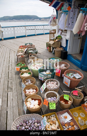 Coquilles de souvenirs en vente à jetée de Llandudno galles uk Banque D'Images