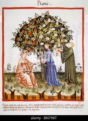 Tacuinum Sanitatis. Women picking de roses un rosier. Banque D'Images