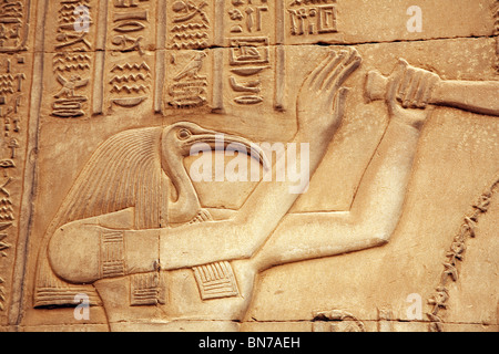 Bas secours albâtre sculpture du dieu Thoth, dieu de l'écriture et de la sagesse, le Temple d'Horus et Sobek, Kom Ombo, haute-Égypte, Afrique Banque D'Images