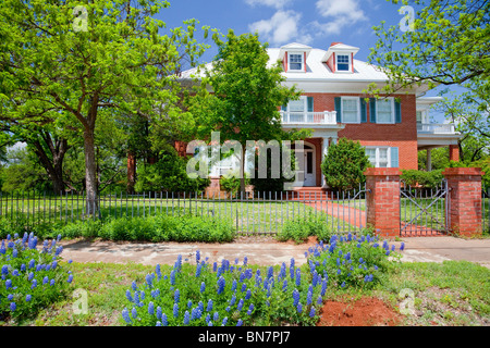 Une maison avec des fleurs sauvages dans la région de Mason bluebonnet, Texas, USA. Banque D'Images