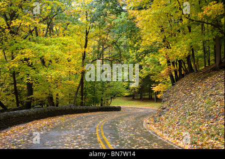 Letchworth State Park Park Road Western New York Banque D'Images