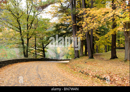 Letchworth State Park Park Road Western New York Banque D'Images