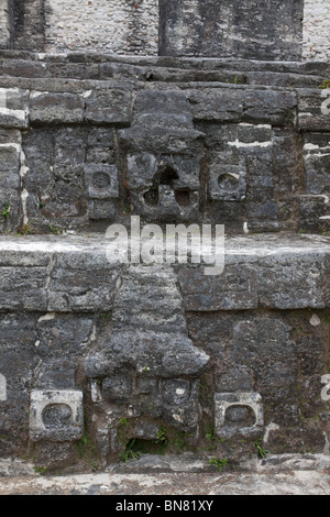 Sculptures sur pierre à les ruines Maya d'Altun ha dans la forêt tropicale du Belize. Banque D'Images