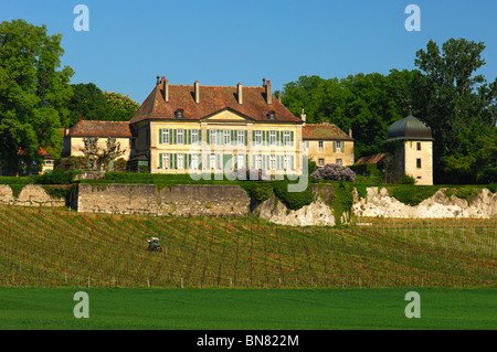 Domaine du Château de Vullierens, Château de Vullierens, Canton de Vaud, Suisse Banque D'Images