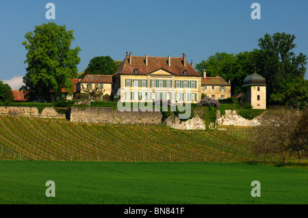 Domaine du Château de Vullierens, Château de Vullierens, Canton de Vaud, Suisse Banque D'Images