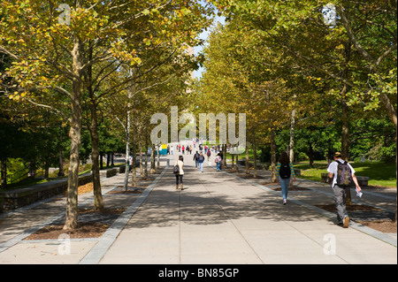 Les étudiants sur le campus de l'Université Cornell, Ithaca, New York Finger Lakes Region Banque D'Images