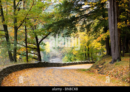 Letchworth State Park Park Road Western New York Banque D'Images