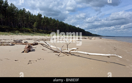 La plage pittoresque de la mer Baltique à Bigaunciems du golfe de Riga Lettonie Kurzeme Europe Banque D'Images