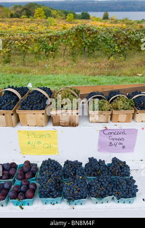 Les raisins pour la vente à l'Éventaire dans la région de Finger Lakes New York Banque D'Images