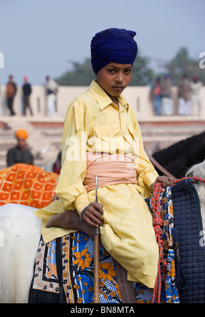 L'Inde Muktsar Sikh Nihang guerrier mounter Banque D'Images