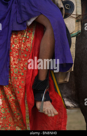 L'Inde Muktsar Sikh Nihang guerrier mounter Banque D'Images