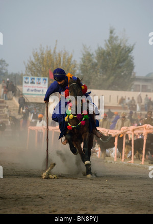 L'Inde Muktsar Sikh Nihang guerrier mounter Banque D'Images