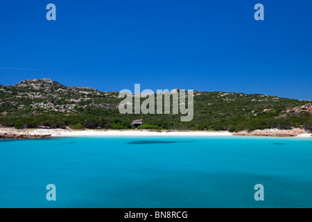 Spiaggia Rosa ou Pink Beach sur l'île de Budelli, partie de l'archipel de La Maddalena en Sardaigne Banque D'Images