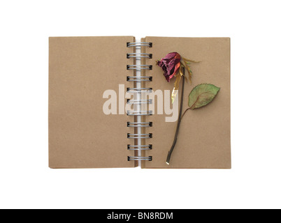 Dead rose rouge et old style notebook Banque D'Images