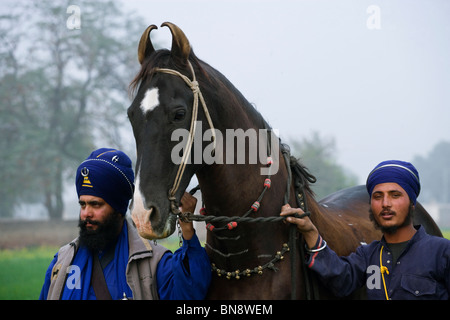 L'Inde Muktsar Sikh Nihang guerrier mounter Banque D'Images