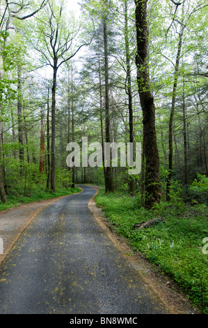 Country Road Banque D'Images