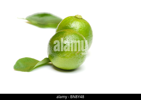 Close-up de deux citrons verts et feuilles sur fond blanc Banque D'Images