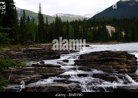 La rivière Athabasca et les chutes. Le Parc National Jasper, Alberta, Canada. Banque D'Images