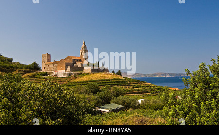 Monastère bénédictin de Saint Nicolas, entouré de vignes, sur une colline au-dessus de Milna sur l'île (otok) de vis, Croatie. Banque D'Images