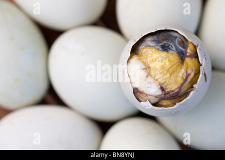 Un ouvert balut, ou cuit oeuf canard fécondé, est illustrée entre autres dans les œufs entiers balut Mindoro oriental, Philippines. Banque D'Images