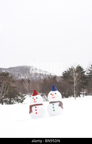 Le Snowman couple wearing chapeaux et écharpes. Banque D'Images