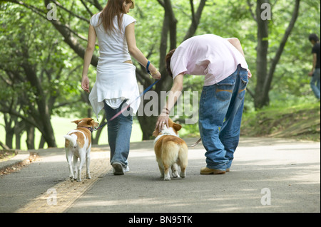 Leurs deux chiens en train de marcher dans un parc Banque D'Images