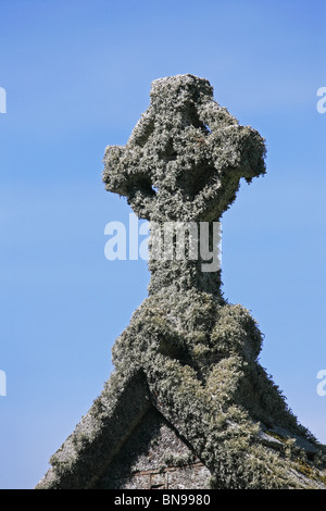 Croix celtique couvert de lichen ; Winwaloe, église St Poundstock, Cornwall, Angleterre Banque D'Images