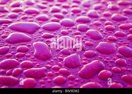 Close up photographie macro de gouttes de pluie sur une table violet Banque D'Images