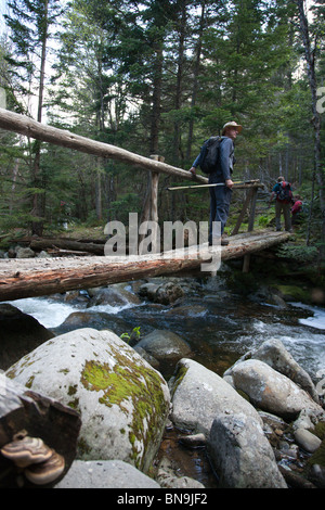 Les randonneurs utilisent pont pied le long du sentier pour traverser la crête Asquam Baker River pendant les mois d'été dans les Montagnes Blanches, NH Banque D'Images