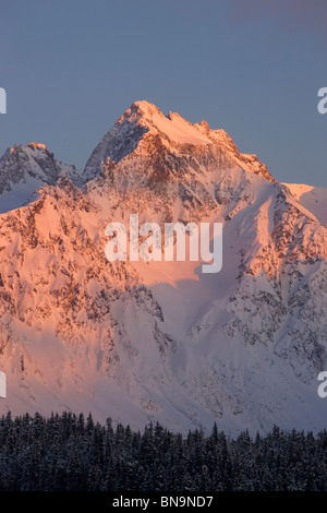 L'hiver dans la forêt nationale de Chugach, Seward, Alaska. Banque D'Images