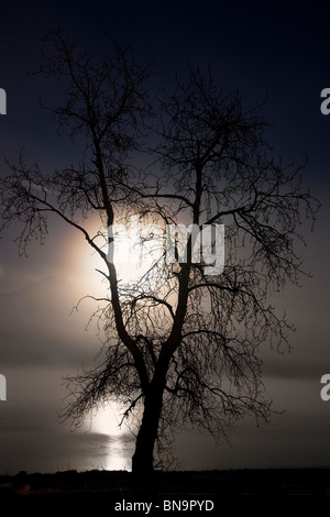 Pleine lune sur la baie de résurrection, Seward, Alaska. Banque D'Images