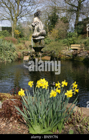 Chester Zoological Gardens. Vue de jonquilles printemps à la pleine floraison dans le Zoo de Chester's Jardin en contrebas. Banque D'Images