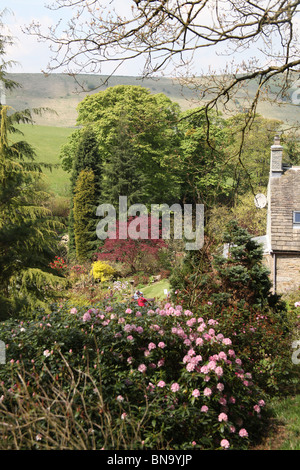 Jardins des rhododendrons Vallée Dunge, Angleterre. Vue de la vallée de printemps Dunge Jardins des rhododendrons. Banque D'Images