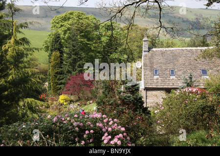 Jardins des rhododendrons Vallée Dunge, Angleterre. Vue de la vallée de printemps Dunge Jardins des rhododendrons. Banque D'Images