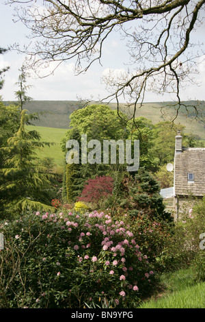 Jardins des rhododendrons Vallée Dunge, Angleterre. Vue de la vallée de printemps Dunge Jardins des rhododendrons. Banque D'Images