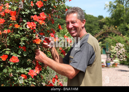 Rode Hall Country House and Gardens. Kelvin Archer, la Rode Hall Gardner, Chef à l'œuvre dans le potager. Banque D'Images