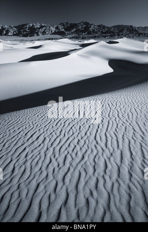 Le noir et blanc aube sur Mesquite Sand Dunes Appartements,Death Valley National Park Banque D'Images