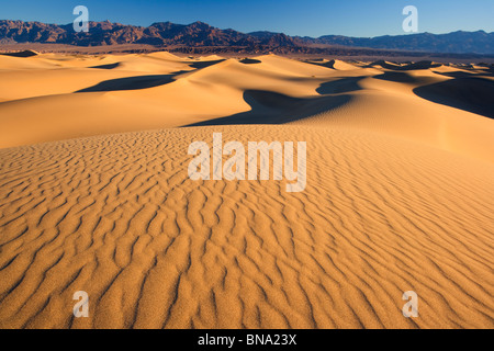 Lever du soleil sur les dunes de sable plat Mesquite,Death Valley National Park Banque D'Images