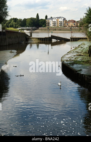 Rivière Wandle se jetant dans la Tamise à Wandsworth South London SW18 Angleterre Royaume-Uni années 2010 2010 HOMER SYKES Banque D'Images