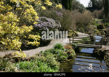 Arley Hall & Gardens, en Angleterre. Compte tenu de l'Rootree printemps jardin à Arley Hall Gardens. Banque D'Images