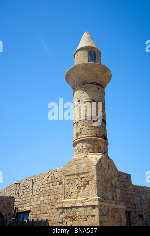 Citadelle de Césarée en Israël Banque D'Images