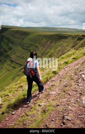 Female hiker sur Sir Bannu Gaer Ridge, Black Mountain, parc national de Brecon Beacons, le Pays de Galles Banque D'Images