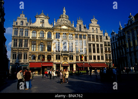 Les belges, peuple belge, les touristes, les maisons de guilde, grandplace, grand place, ville de Bruxelles, Bruxelles, Bruxelles-Capitale, Belgique, Europe Banque D'Images