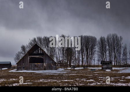 Une grange abandonnée sur un hivers orageux jour. Banque D'Images